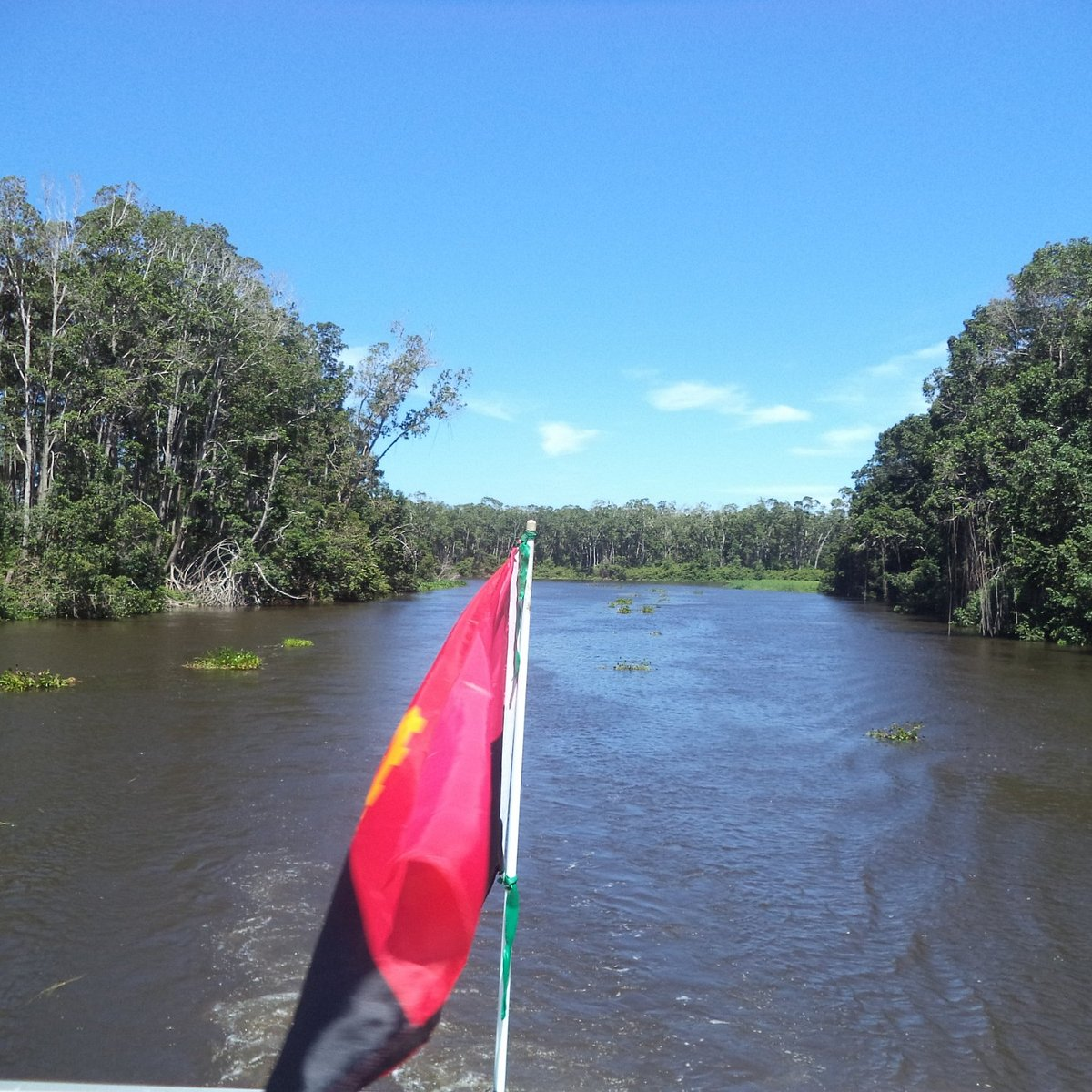 View along the Kwanza River with Angolan flag and lush riverbanks